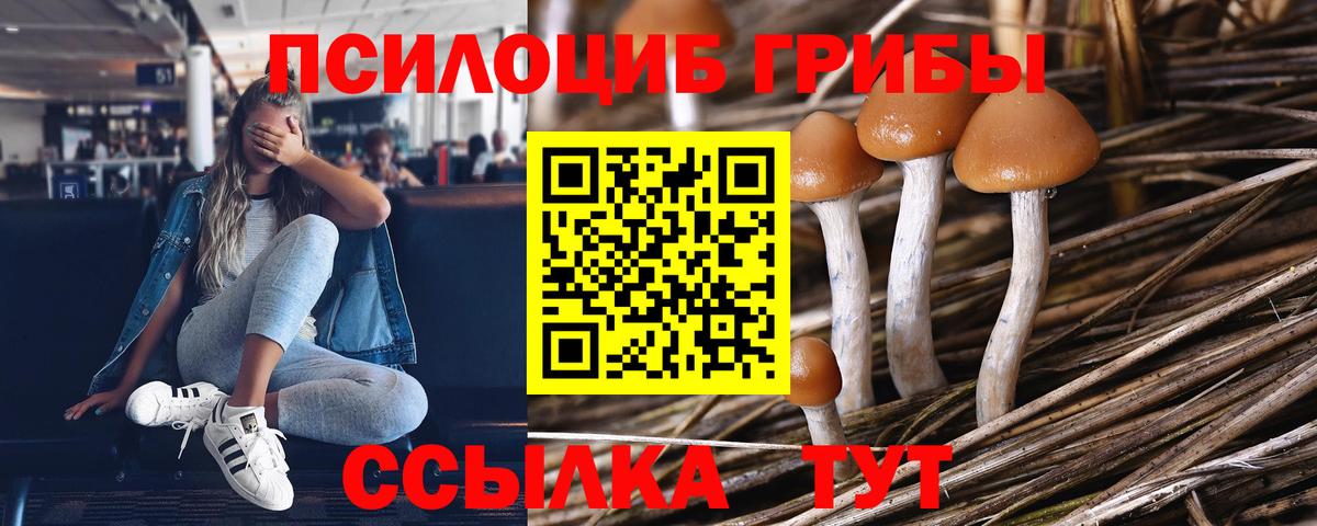 Галлюциногенные грибы Psilocybine cubensis Гусь-Хрустальный